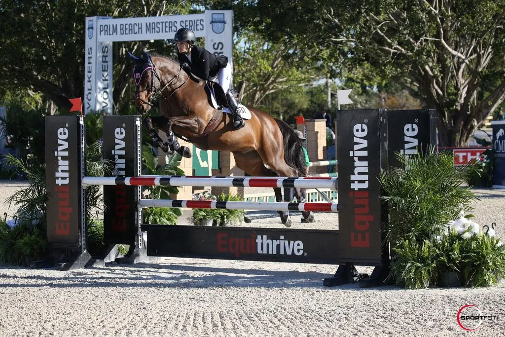 Bay jumper at the Palm Beach Masters Series