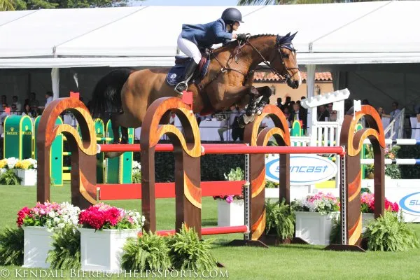 Grand Prix jumper SIEC Ledgepoint, donated to TCU Equestrian