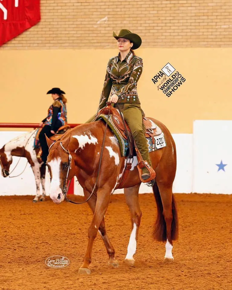Paint horse in western pleasure tack at a show