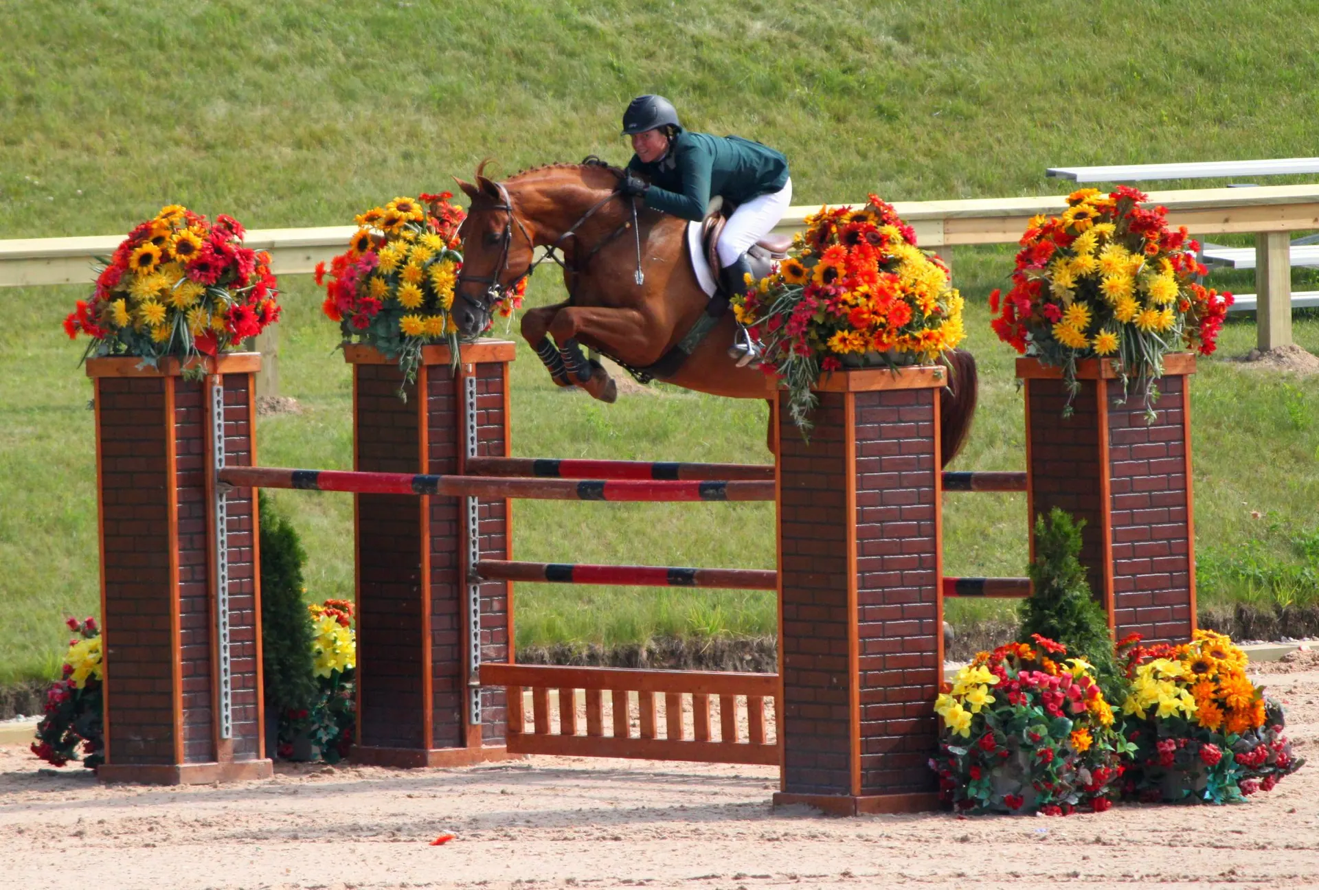 University of Findlay Horse Appraisal