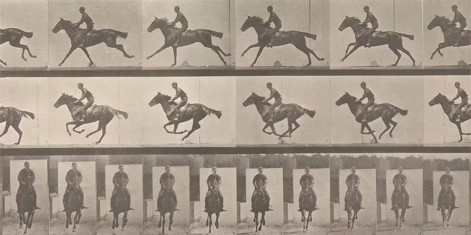 Methods for Equine Appraisals