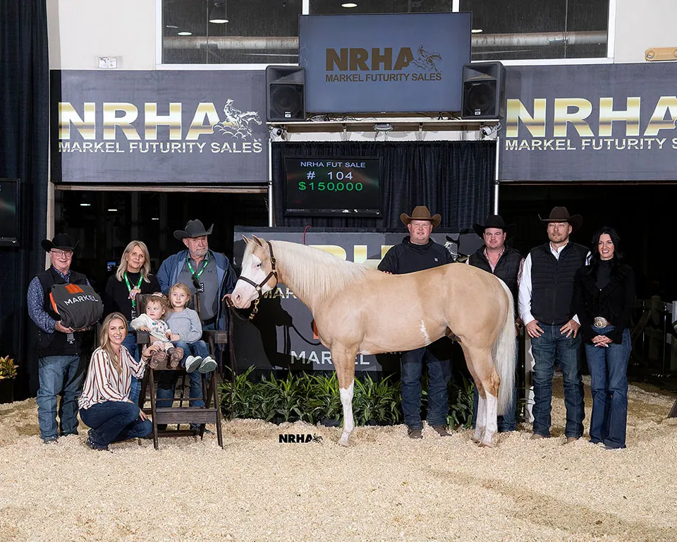 How Do Equine Appraisers Find Market Comps?
