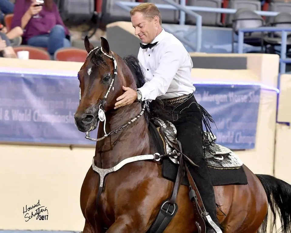 Bay western pleasure horse with its handler at a world championship