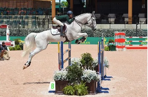 Grey jumper clearing a vertical at a Rolex-sponsored show